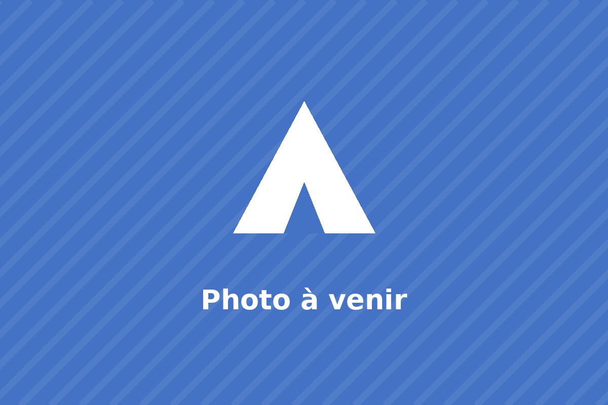 Activité des Routiers
